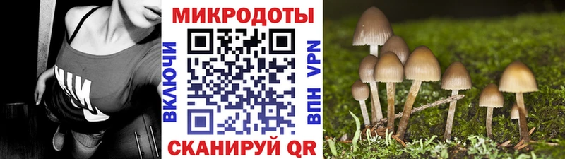 мориарти как зайти  Вихоревка  Галлюциногенные грибы ЛСД 